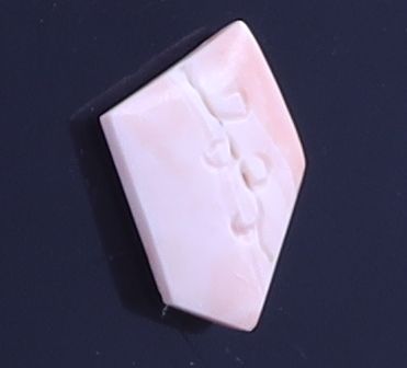 product-details