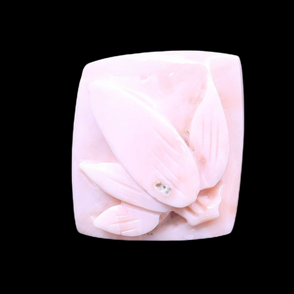 product-details