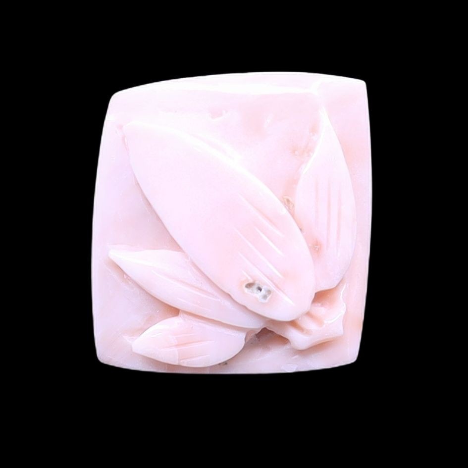 product-details