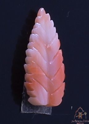 product-details