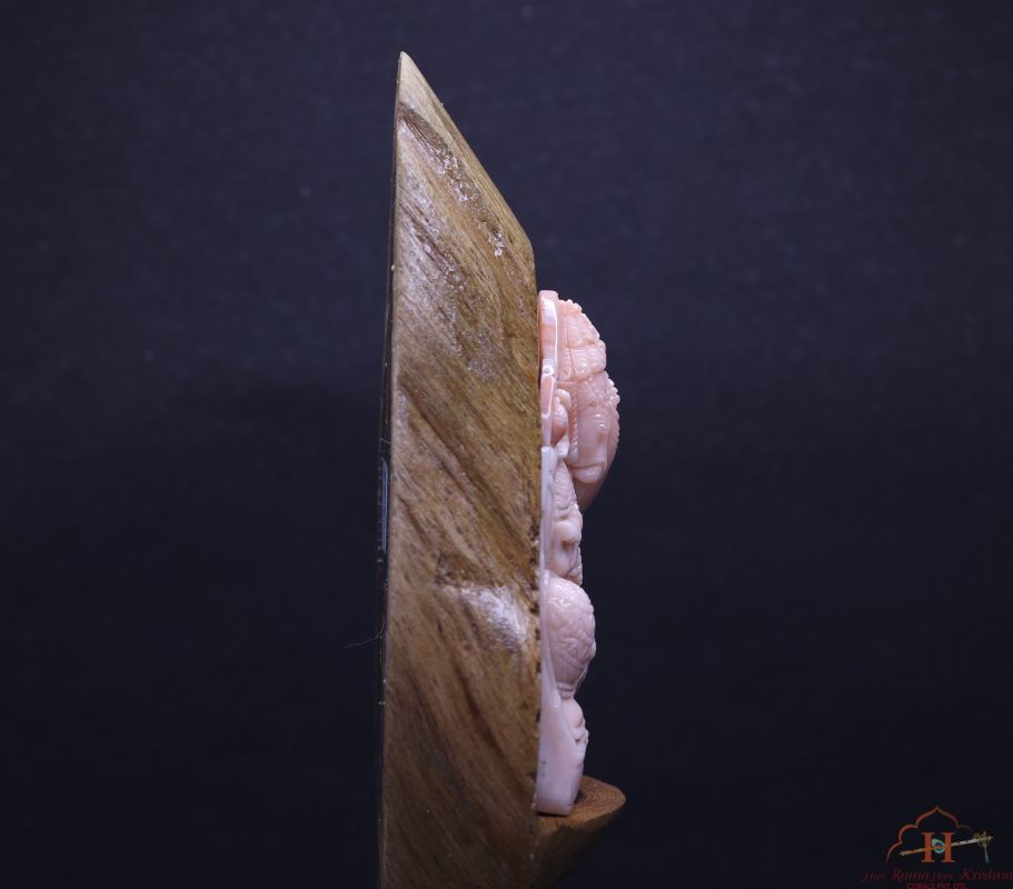 product-details