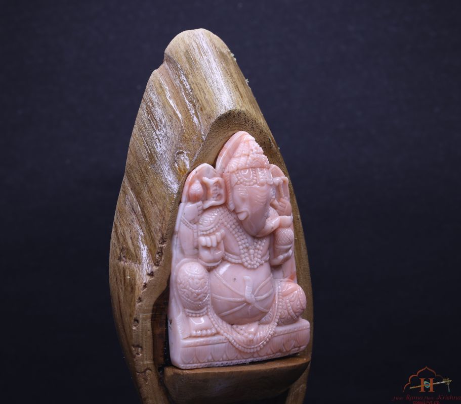 product-details