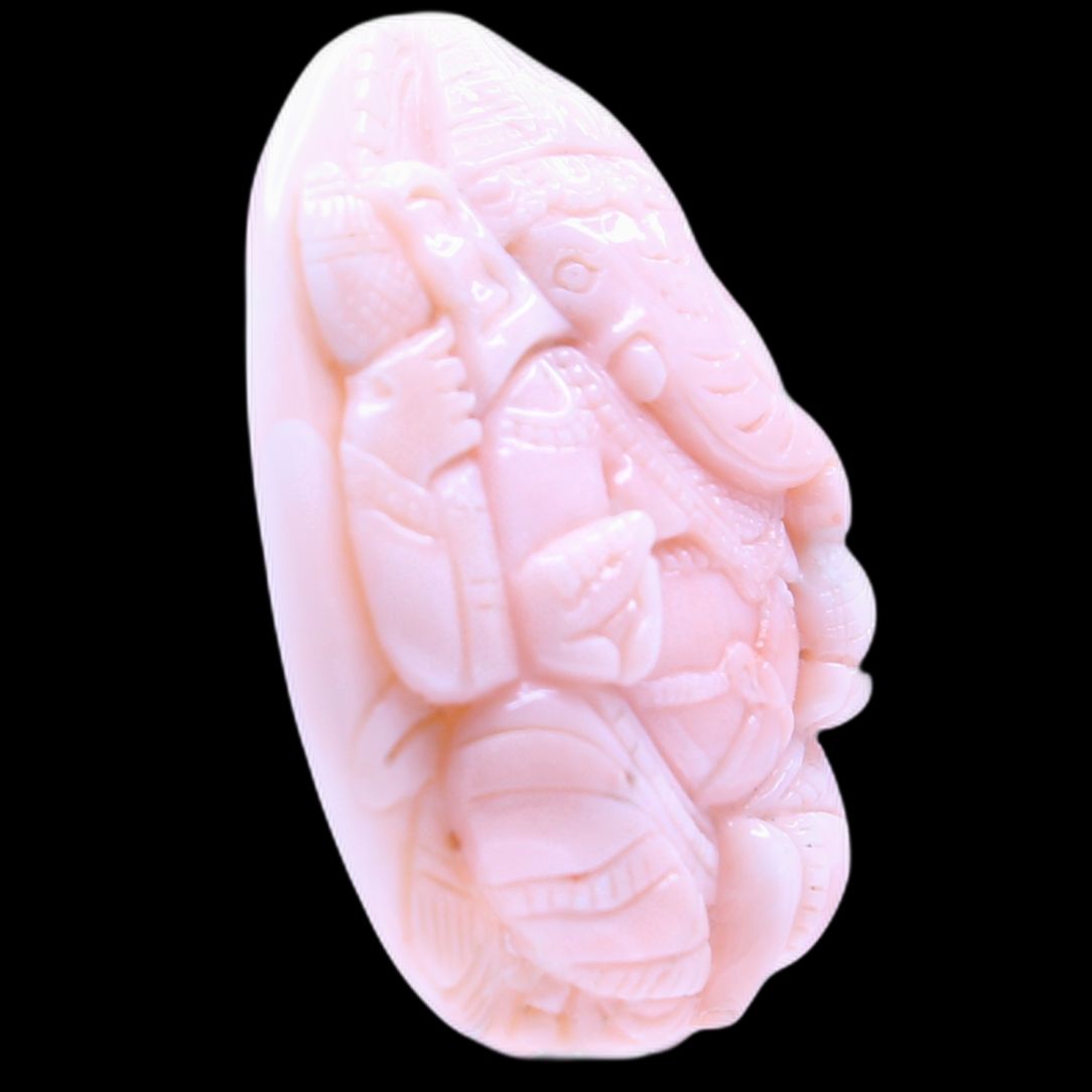 product-details