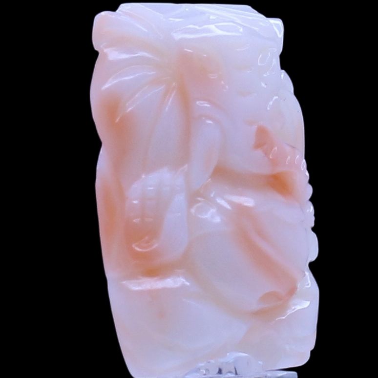 product-details
