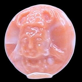product-details