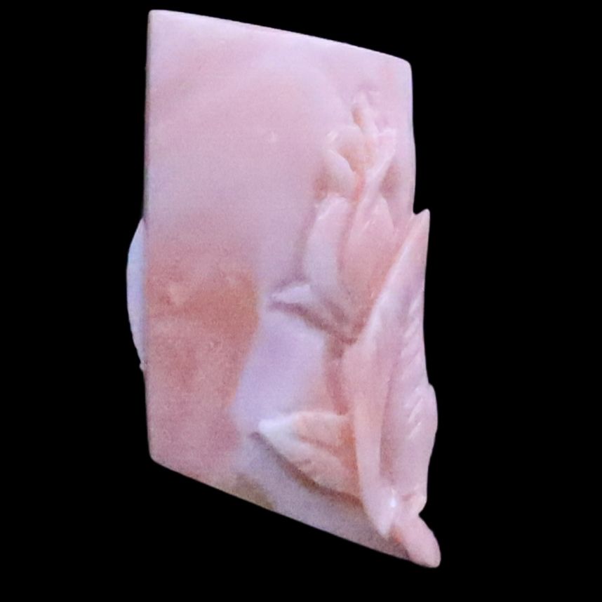 product-details