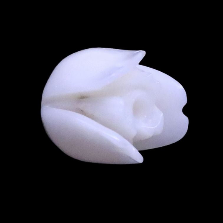 product-details