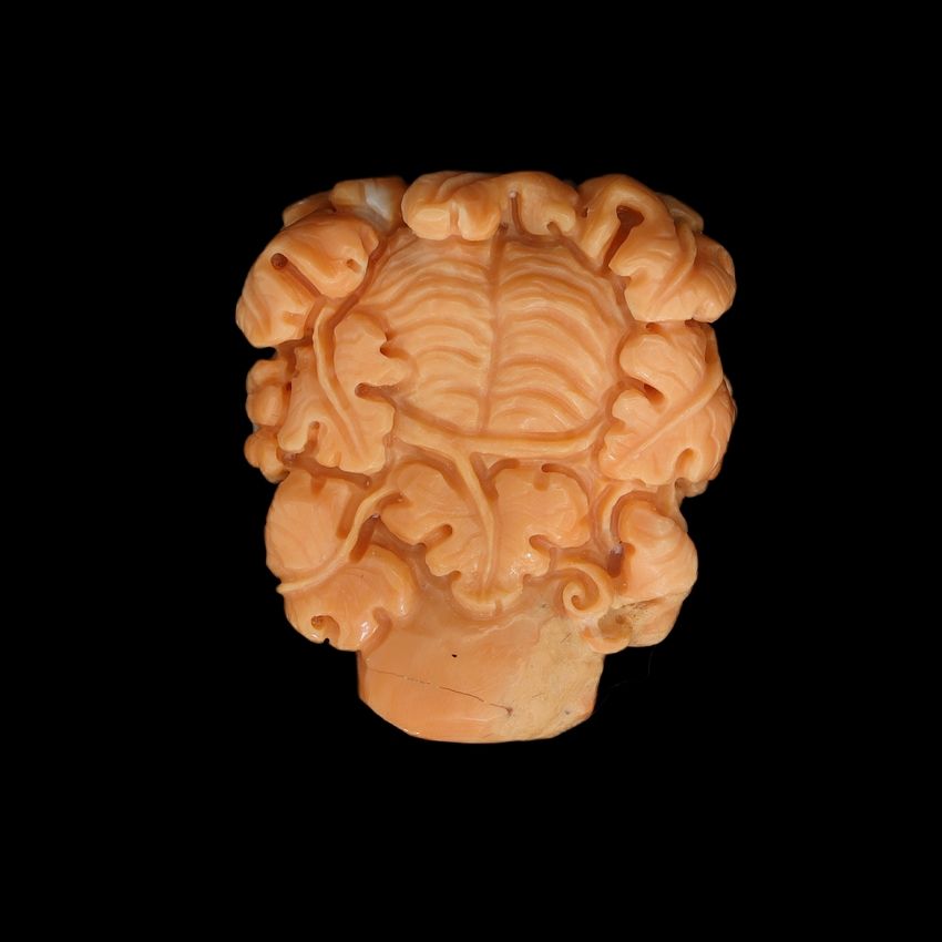 product-details