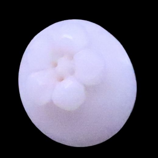 product-details