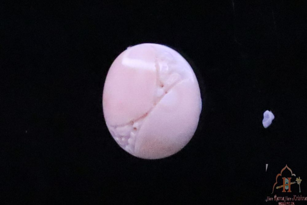 product-details