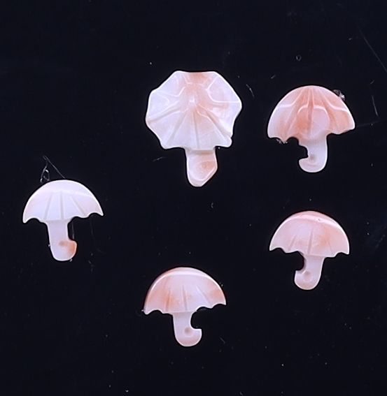 Deepsea Umbrella