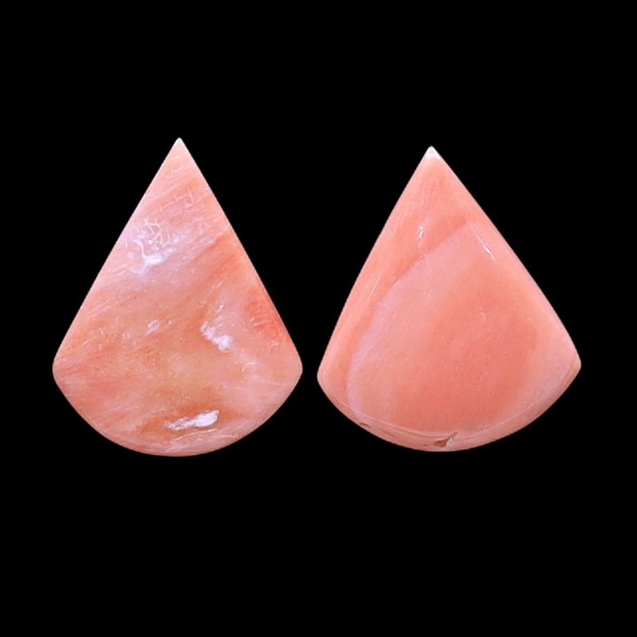 Coral Fancy Shape