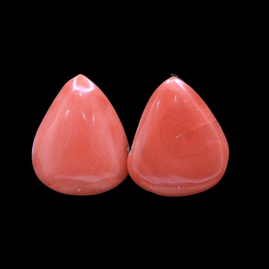 Coral Fancy Shape
