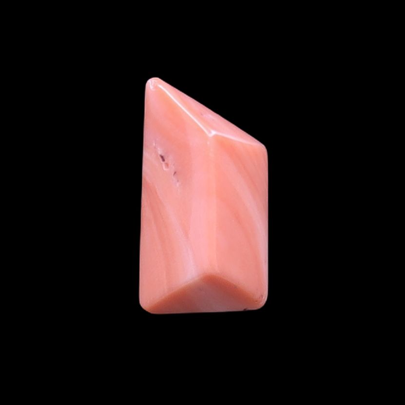 Coral Fancy Shape