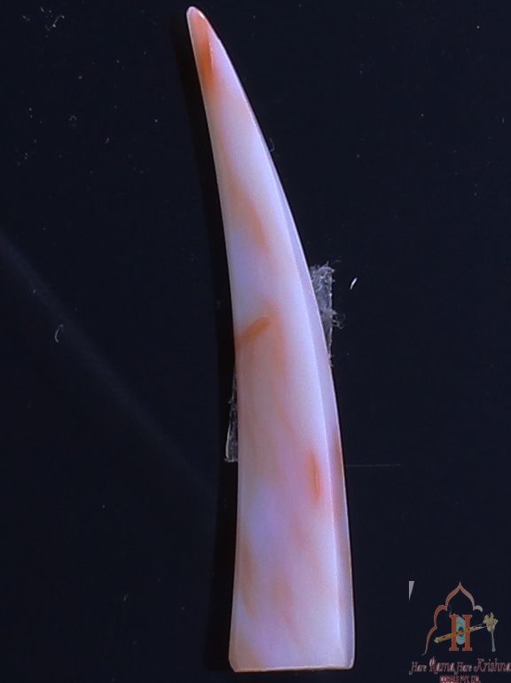 Deepsea Tusk shape