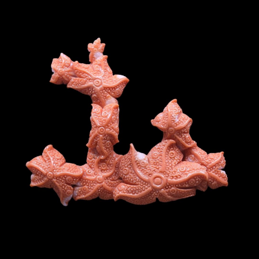 Momo Coral Star Fish Carving