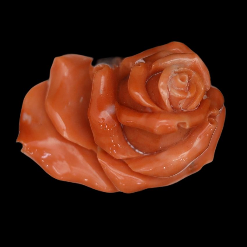 Momo Flat Rose Carving