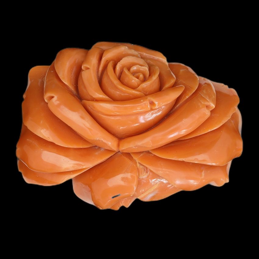 Momo Flat Rose Carving