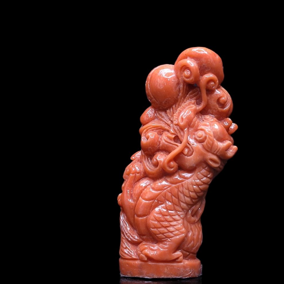 Momo Coral Dragon