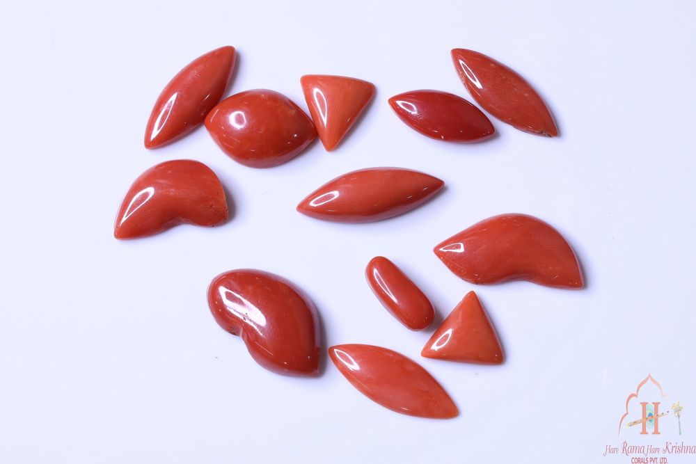 Coral Cabochon