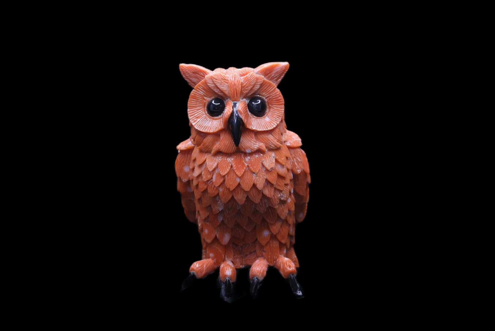 Momo Coral Owl
