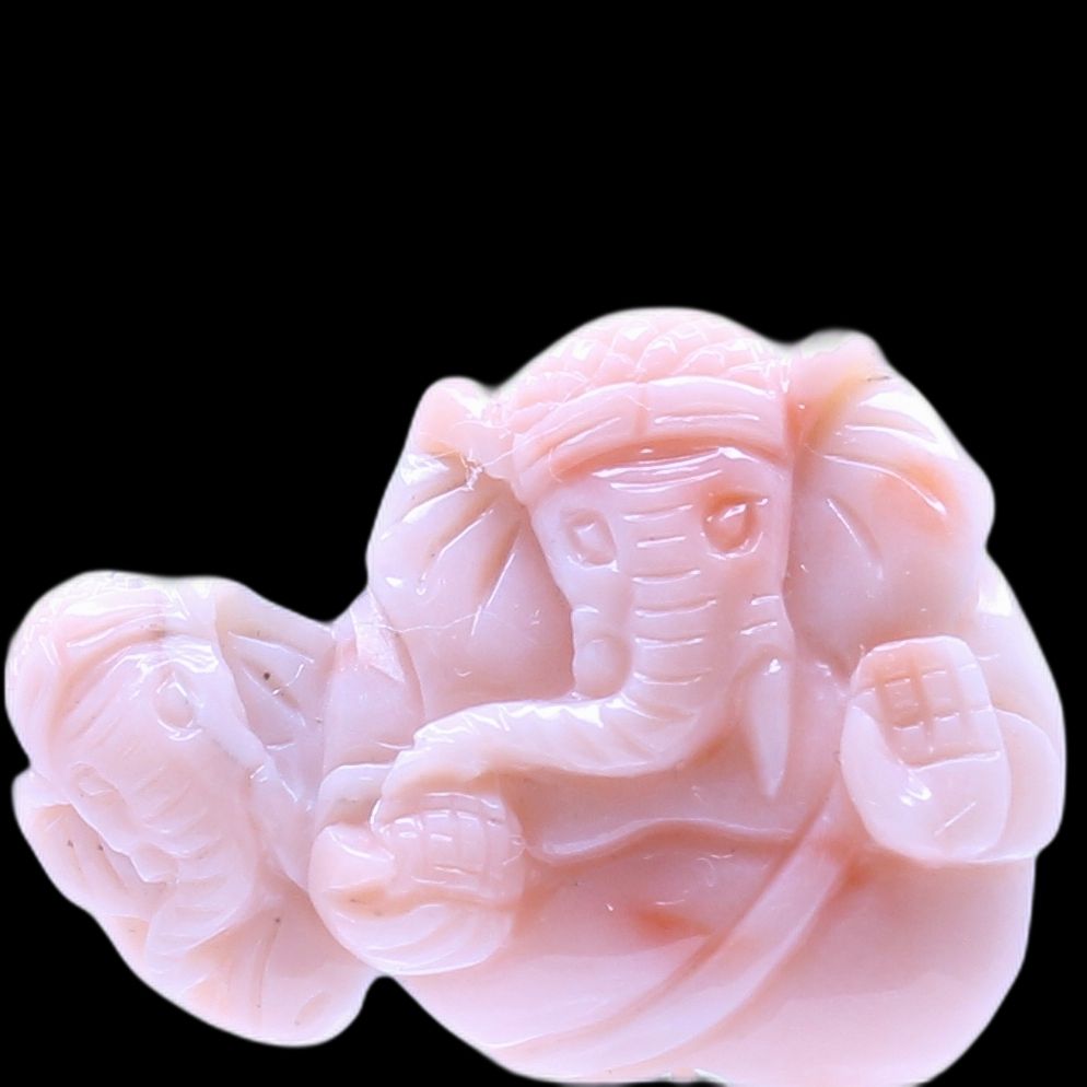 Ganesh