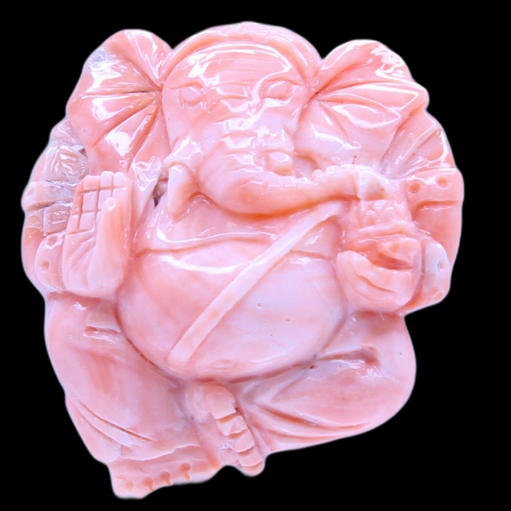 Coral Ganesh