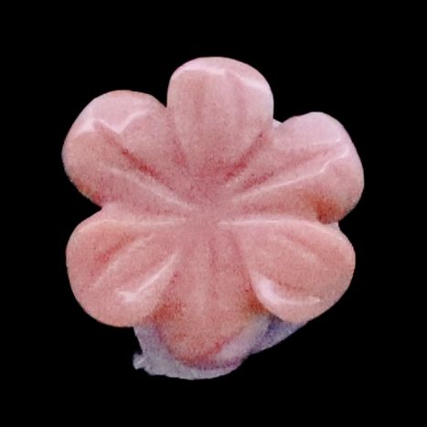 Momo Coral Flower