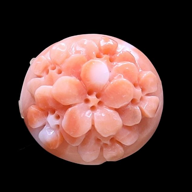 Momo Coral Facny Flower