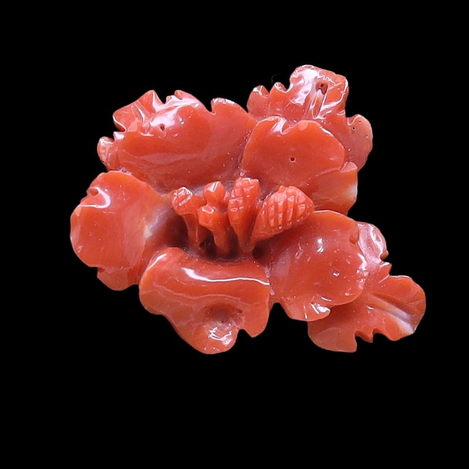 Momo Coral Fancy Flower