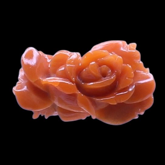 Coral Fancy Flower