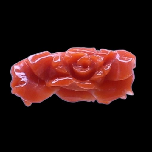Coral Fancy Flower