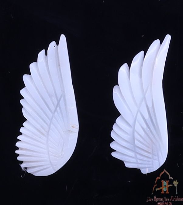 Wings