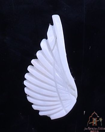 Wings