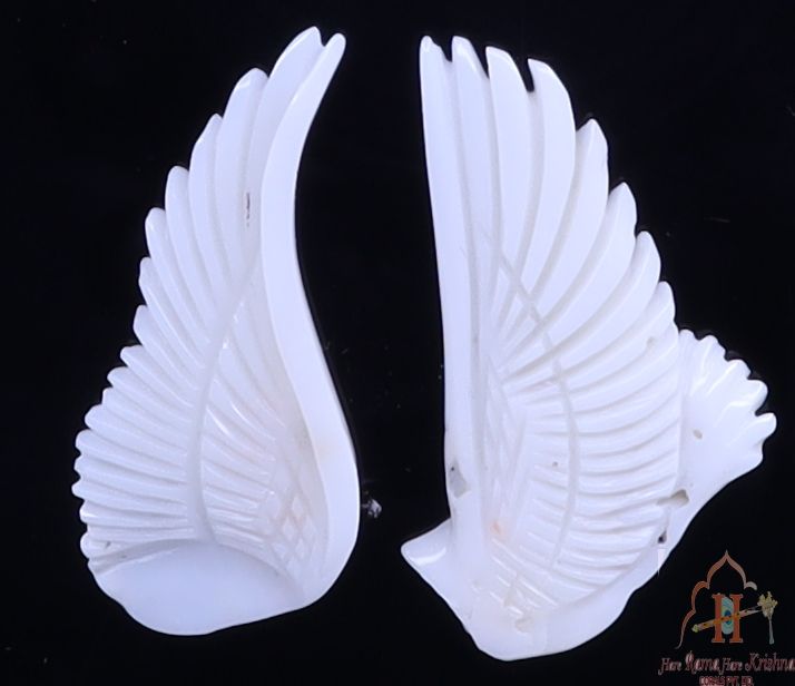 Wings