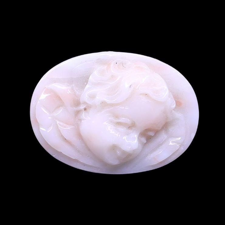 White Coral Baby Angel