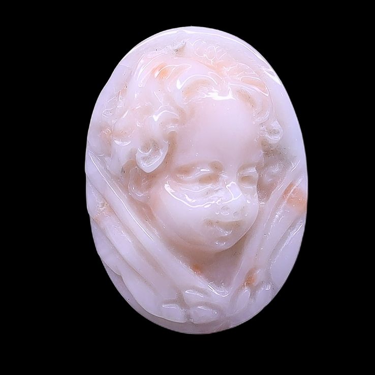White Coral Baby Angel