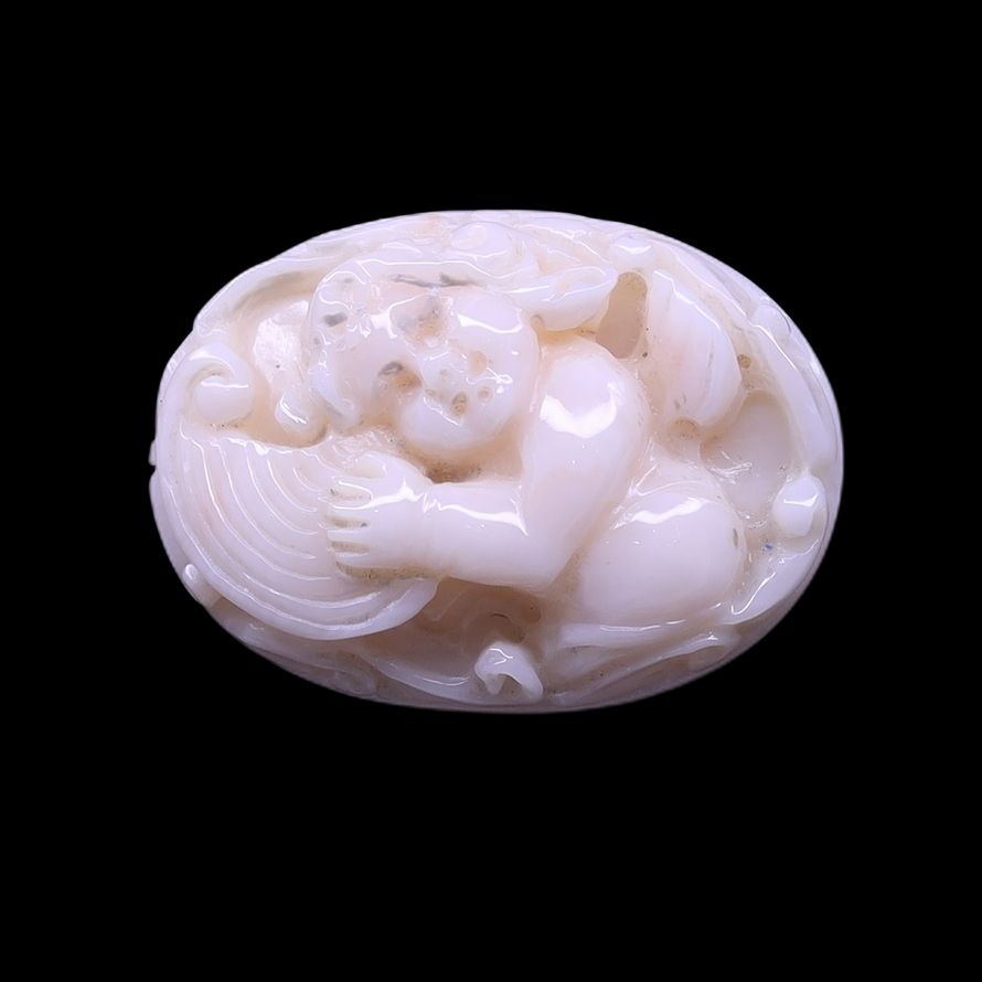White Coral Baby Angel
