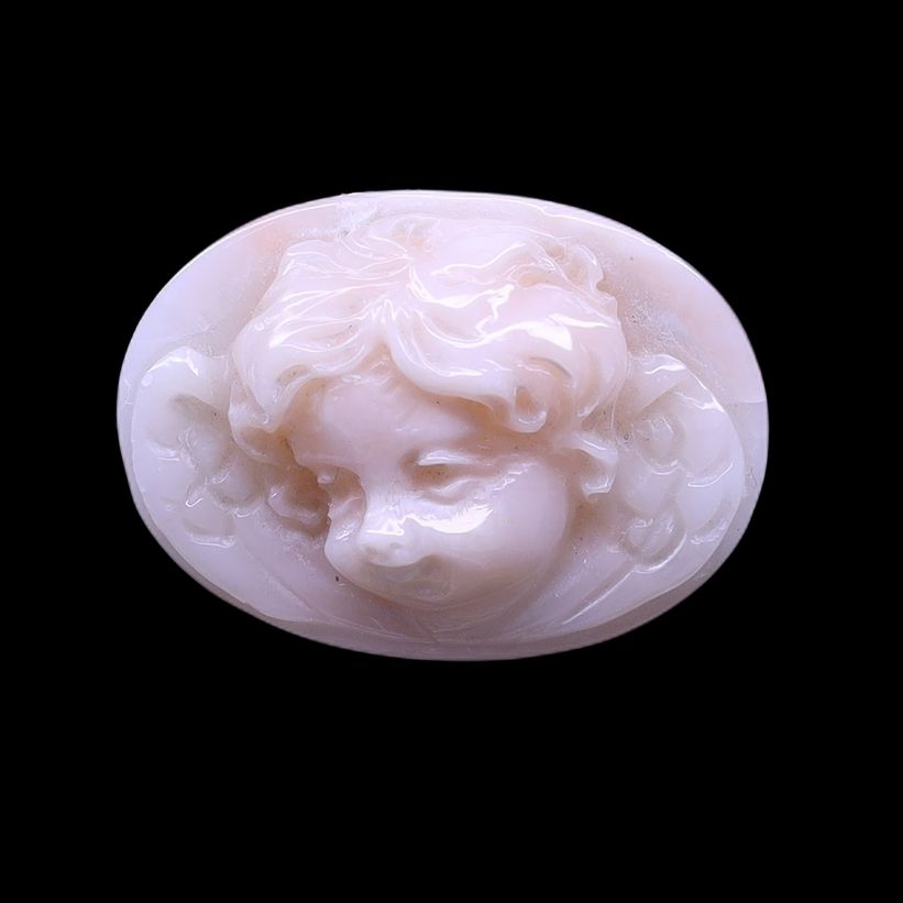 White Coral Baby Angel