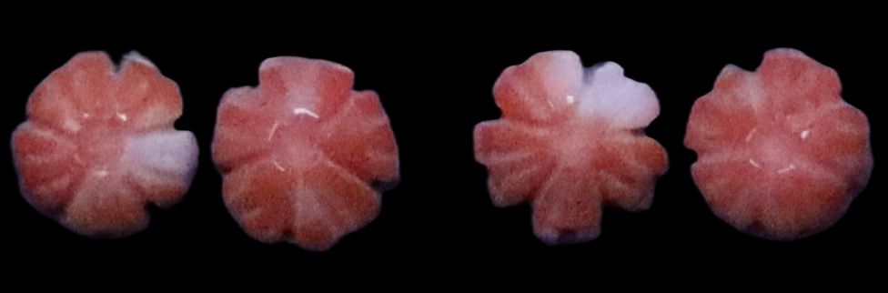 Momo Coral Flat Flower