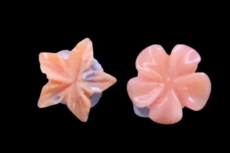 Momo Coral Flower