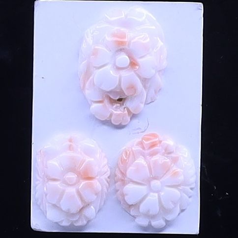 White Coral Patels