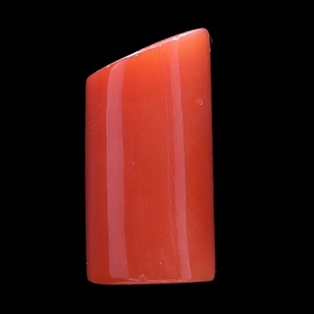 Aka Coral Fancy Shape