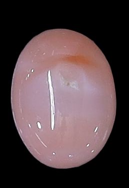 Deepsea Coral Oval Cabochon
