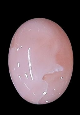 Deepsea Coral Oval Cabochon