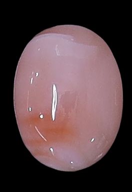 Deepsea Coral Oval Cabochon