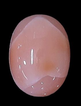 Deepsea Coral Oval Cabochon
