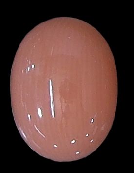Deepsea Coral Oval Cabochon
