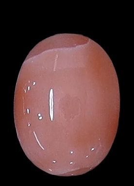 Deepsea Coral Oval Cabochon