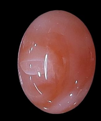 Deepsea Coral Oval Cabochon